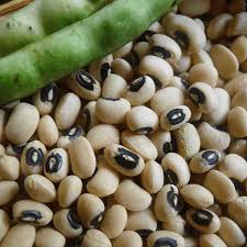 cowpea.jpg
