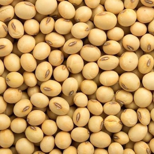soybean.jpg