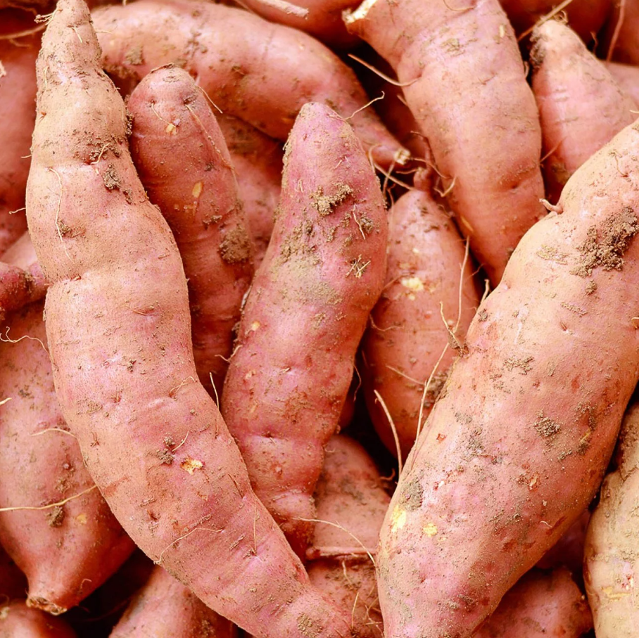 sweetpotato.png